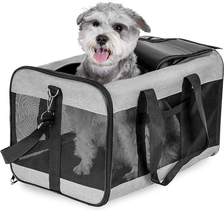 Dog sitting in a grey breathable pet carrier bag with mesh sides.